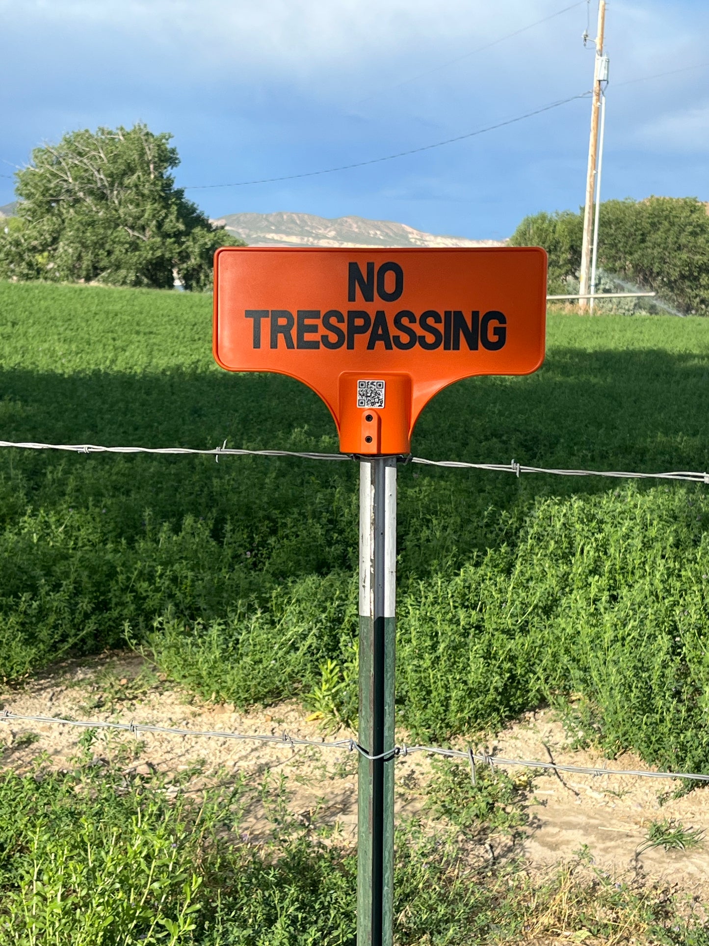 Whack-A-Sign No Trespassing Sign - Box of 10